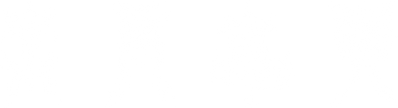 9fc76fbdba2cf2d136d24702c2569e33.png
