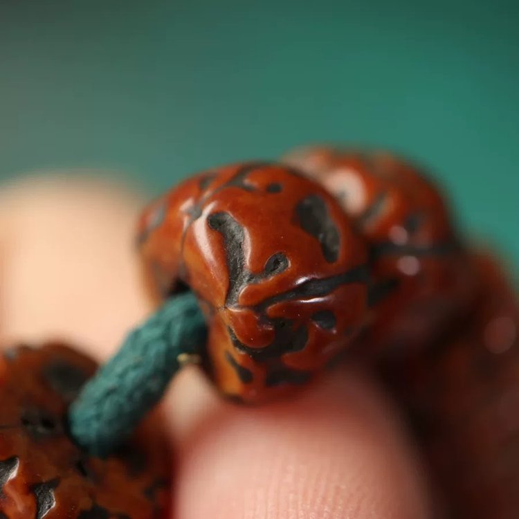 Antique Tibetan Rudraksha Wrist Mala