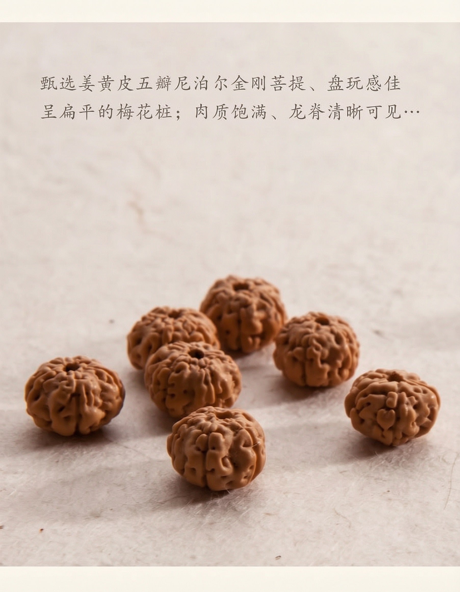 Close view of 5-mukhi Vajra bodhi beads with visible texture