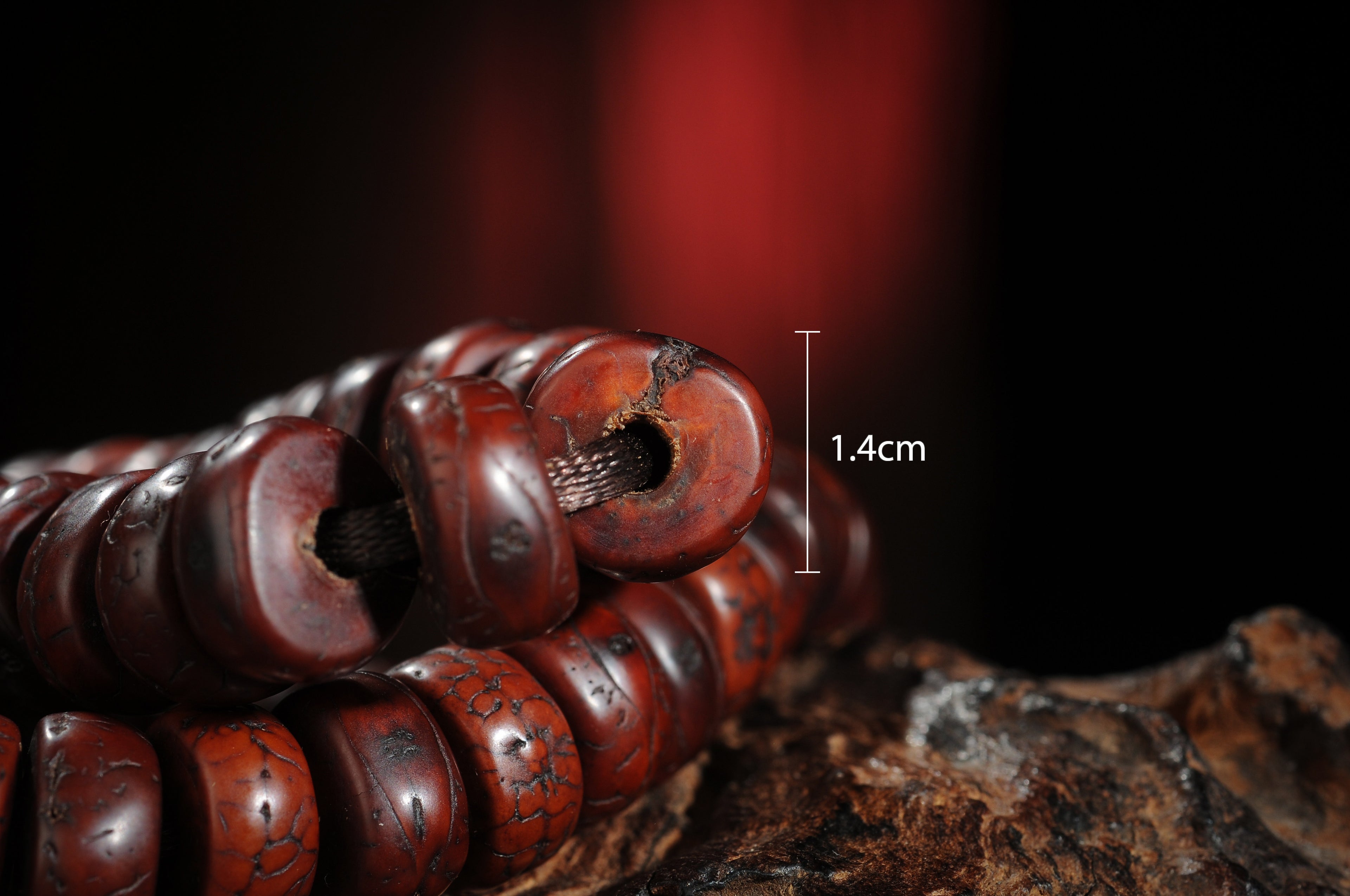Close view of sliced phoenix eye bodhi bead with approx. 1.4 cm reference