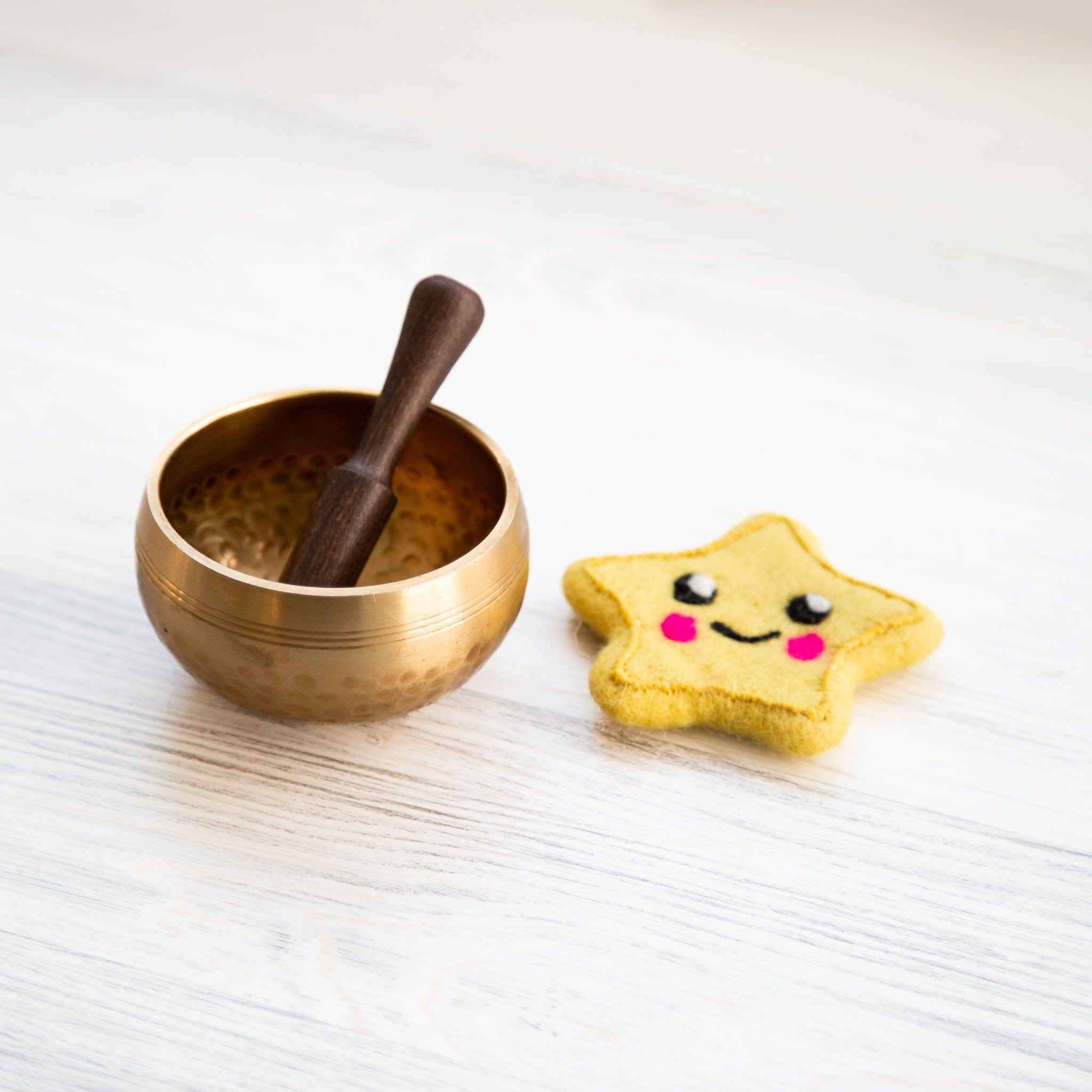 Little Explorers Singing Bowl Set for Kids