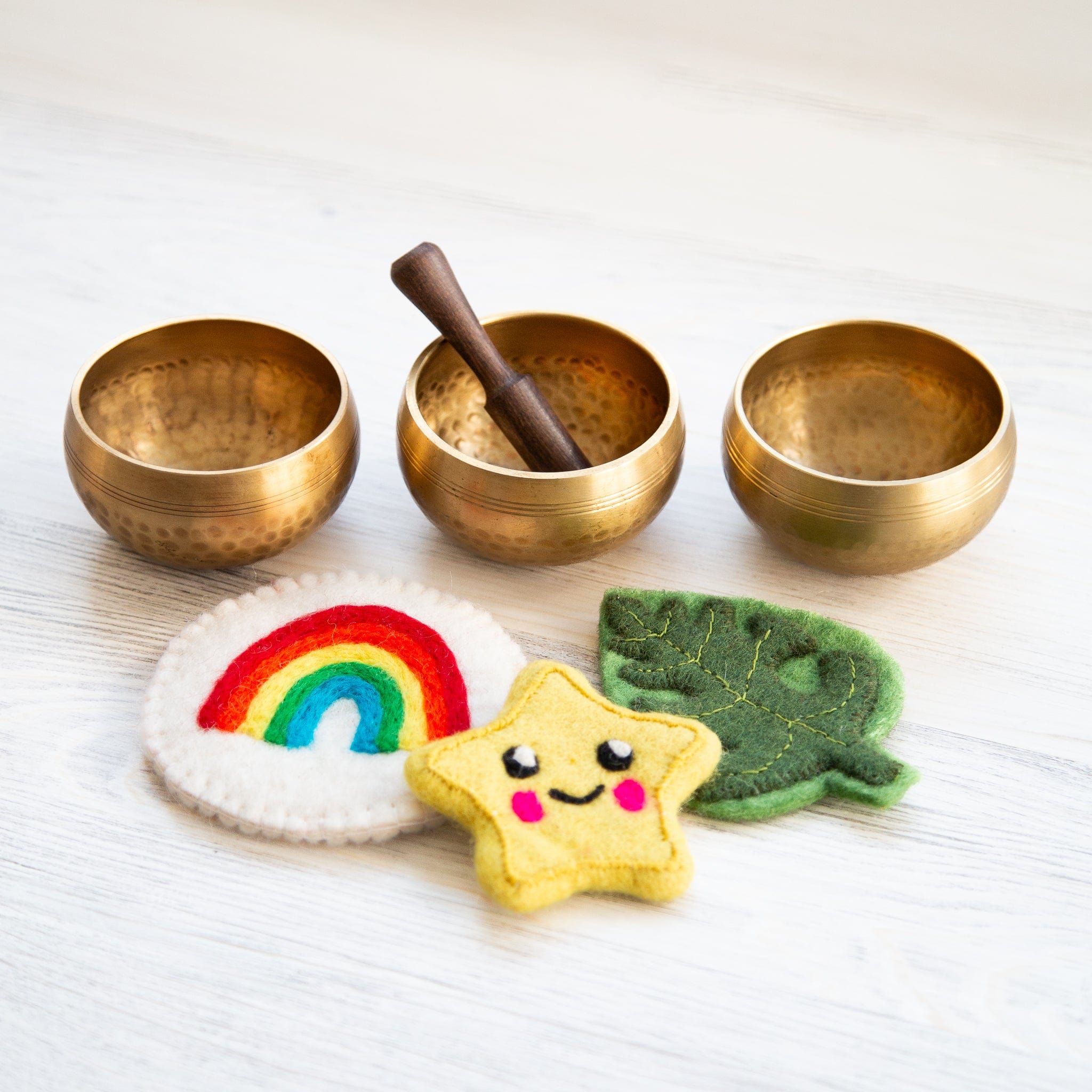 Little Explorers Singing Bowl Set for Kids